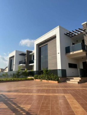 Modern villa 1